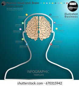 Human Head White line and  Brain   - modern Idea and Concept Vector illustration Business Infographic template with icon.
