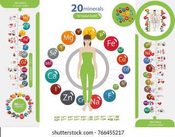 Human Health And Minerals. 20 Minerals: Microelements And Macro Elements And Their Effect On The Health Of The Organs Of The Human Body. 