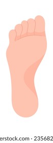 Human Healthy Foot Vector Illustration