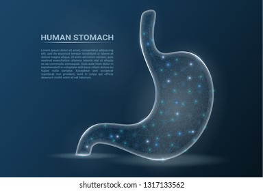 Human Healthy Stomach. Internal Digestion Organ Isolated On A Background. Vector Illustration. Healthcare Concept.