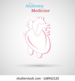 Human heart