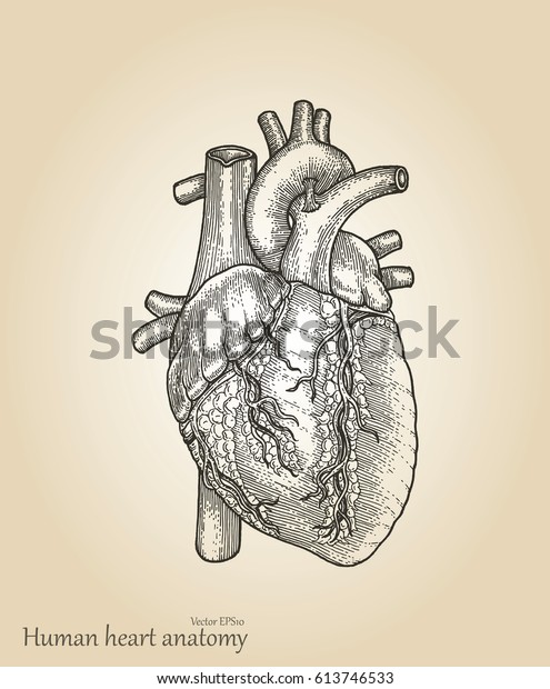 realistic heart drawings tumblr