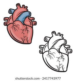 El corazón humano anatómicamente. Dibujo realista con arte de líneas con antecedentes blancos. Estilo de esquema de diseño simple. Puedes darle el color que quieras. Ilustraciones vectoriales.