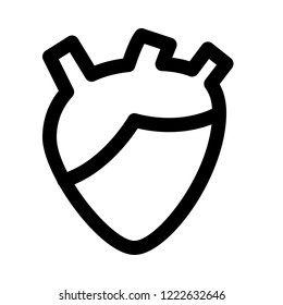 Human heart anatomy