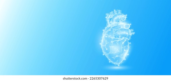 Human heart anatomy form line triangles connecting on blue background. Futuristic glowing organ hologram translucent white and copy space for text. Medical anatomical concept. Modern design vector.