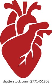 Icono anatomía del corazón