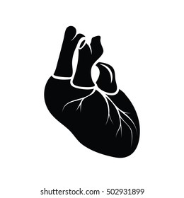 Human heart anatomy icon vector