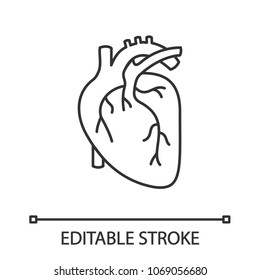 Human Heart Anatomy Linear Icon. Thin Line Illustration. Contour Symbol. Vector Isolated Outline Drawing. Editable Stroke