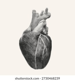 Human heart anatomy model isolated on white background. Retro vector grunge punk halftone dotted collage cut-out element in Y2K style for mixed media design, anatomy concept and abstract art.