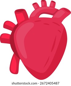 Ilustración vectorial de anatomía del corazón humano