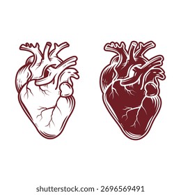 Human Heart Anatomy Vector Illustration -  Vintage Engraving Style Medical Art for Cardiology and Biology