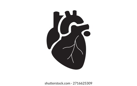 Ilustración vectorial humana de la anatomía del corazón en estilo negro de la silueta aislado en el fondo blanco. Diseño simple y limpio que muestra la estructura detallada del corazón y los vasos sanguíneos. Adecuado para conceptos médicos y de atención médica, diagramas de anatomía, educación en biología, temas de cardiología, presentaciones hospitalarias, infografías de salud, materiales educativos, App móviles y Sitios web médicos.