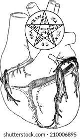  human heart, heart anatomy, heart voodoo, magic heart,  cabalistic sign,kabbalah