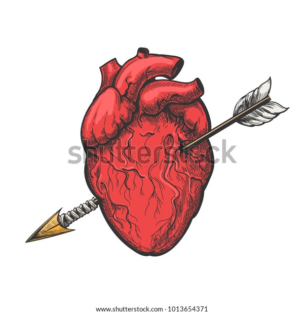 Featured image of post Como Dibujar Un Corazon Real