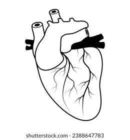 Human heart. black line icon. Simple outline style. Stylized pictogram for web design, or mobile app. Vector illustration isolated on white background. Flat line symbol.
