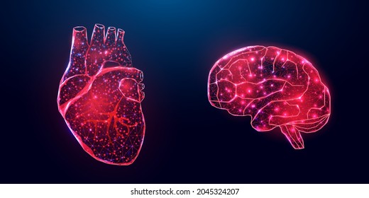 Human heart and brain. Wireframe low poly style. Abstract modern 3d vector illustration on dark blue background. 