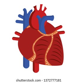 Human heart cartoon isolated