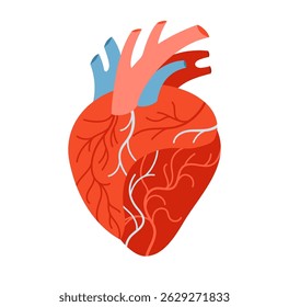 Human heart cartoon stylized vector illustration. Anatomical heart muscular organ symbol on white background. Drawing human heart for cardiology medical, educational, for children simple style design