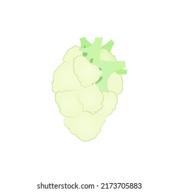 human heart from cauliflower, vegetables and health, self care