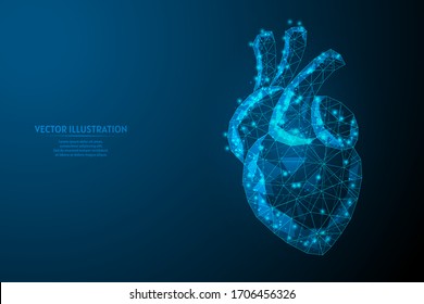 Human Heart Close Up. Organ Anatomy. Blood Supply System. Hypertension, Heart Attack, Stroke, Arrhythmia. Innovative Medicine And Technology. 3d Low Poly Wireframe Isolated Vector Illustration.