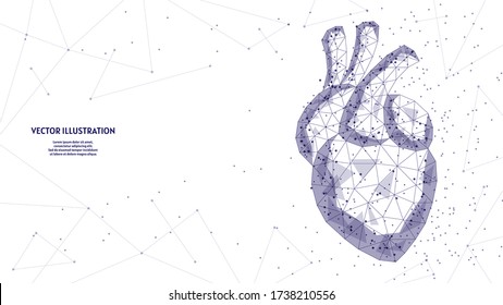 Human Heart Close Up. Organ Anatomy. Blood Supply System. Hypertension, Heart Attack, Stroke, Arrhythmia. Innovative Medicine And Technology. 3d Low Poly Wireframe Vector Illustration.