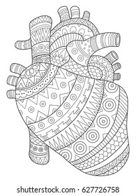 Human heart coloring book vector illustration. Black and white lines. Lace pattern