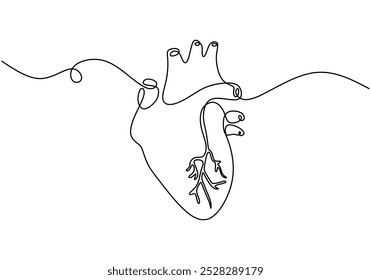 Dibujo de línea continua del corazón humano. Concepto sanitario. Ilustración vectorial minimalista aislada sobre fondo blanco.
