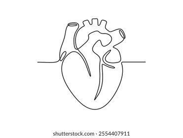 Human heart continuous line drawing. Isolated on white background vector illustration