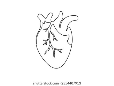 Human heart continuous line drawing. Isolated on white background vector illustration