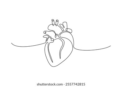 Human heart in continuous one line drawing. anatomical human heart organ illustration. Editable vector.