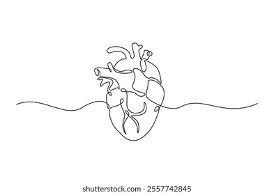 Human heart in continuous one line drawing. anatomical human heart organ illustration. Editable vector.