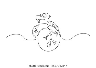 Human heart in continuous one line drawing. anatomical human heart organ illustration. Editable vector.