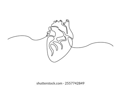 Human heart in continuous one line drawing. anatomical human heart organ illustration. Editable vector.