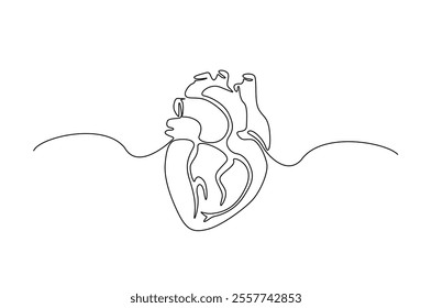 Human heart in continuous one line drawing. anatomical human heart organ illustration. Editable vector.