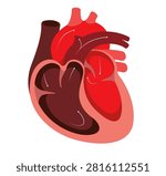 Human Heart Cross Section - Stock Illustration as EPS 10 File