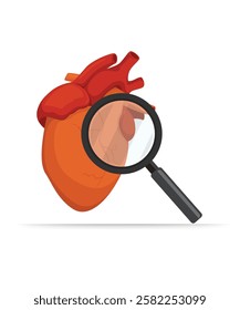 Human heart diagnosis concept vector illustration. Organ with magnifying glass. Cardiology, anatomy concept. Stock illustration