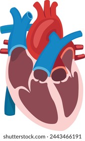 Human Heart Diagram Free Vector