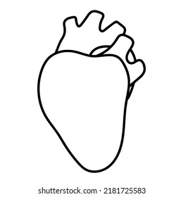 The human heart. The doodle of the internal organ. Black contour drawing, linear heart icon