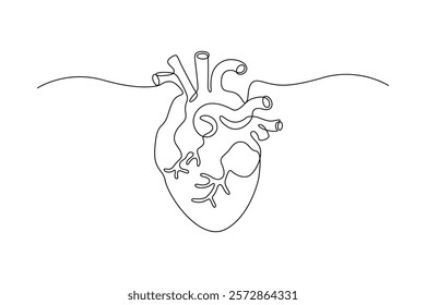Human heart drawn with continuous line in minimalism, abstract, muscular organ, medicine, cardiology, anatomy, one line, editable vector contour