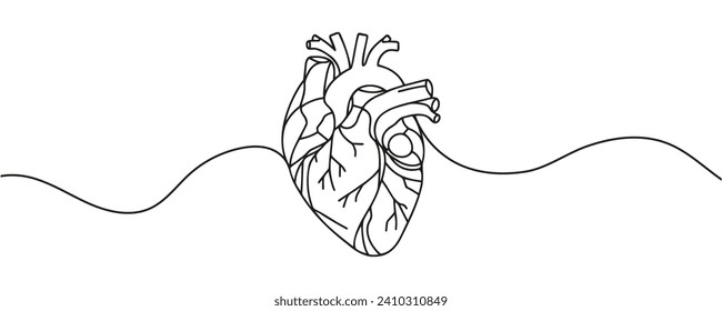 human heart drawn with a line. Vector illustration.