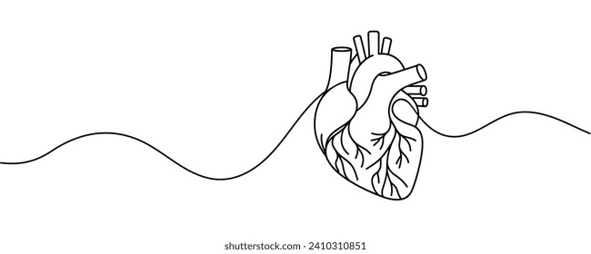 human heart drawn with a line. Vector illustration.