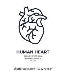 Human heart editable stroke outline icon isolated on white background vector illustration. Pixel perfect. 64 x 64.