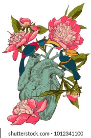Human heart with flowers