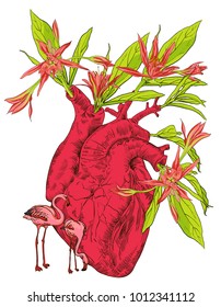 Human heart with flowers