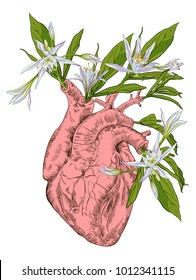Human heart with flowers