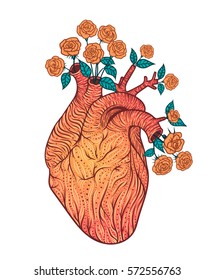 Human heart with flowers. Vector illustration. Tattoo style. Vintage 