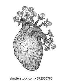 Human heart with flowers. Vector illustration. Tattoo style. Vintage 