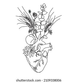 Human heart with flowers. Vector one line drawing.Medical art print. Blooming anatomical human heart. Anatomical Heart line art illustration.