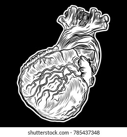 Human heart. Hand drawn flesh tattoo concept of heart symbol of love, feelings, energy. Anatomical details with veins t-shirt design. Vector.