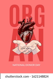 Human heart in hands, organ donor day poster, full color sketch, hand drawn vector illustration.